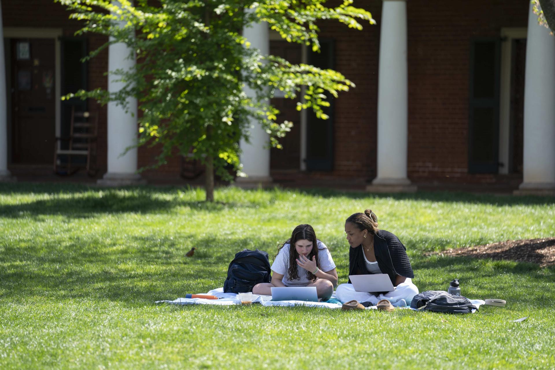 Students on the lawn
